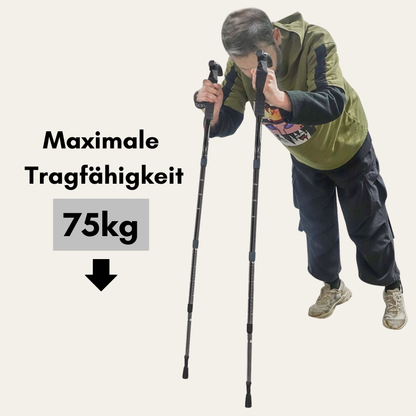 Alpenstab T-Fold – Faltbarer Trekkingstock mit T-Griff, verstellbar & robust für Wandern & Bergtouren